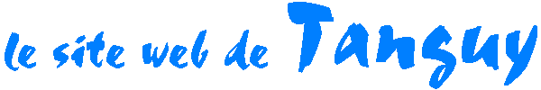 le site web de TANGUY